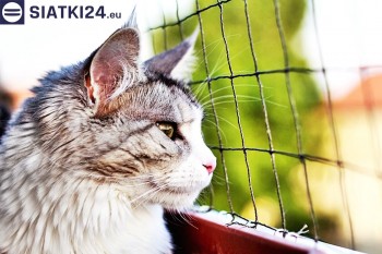 Siatki Mosina - Siatka na balkony dla kota i zabezpieczenie dzieci dla terenów Mosiny