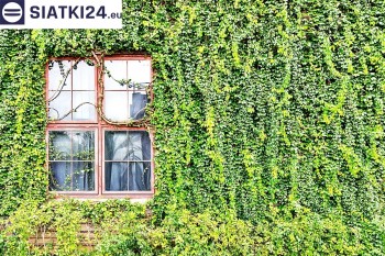 Siatki Mosina - Siatka z dużym oczkiem - wsparcie dla roślin pnących na altance, domu i garażu dla terenów Mosiny
