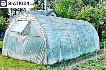 Siatki Mosina - Odporna na wiatr folia ochronna dla upraw warzywnych w tunelach dla terenów Mosiny